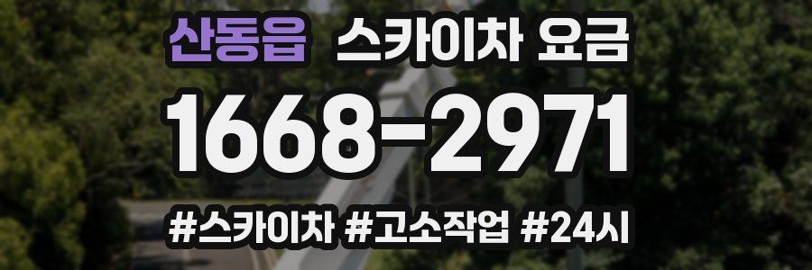 산동읍 스카이차 요금