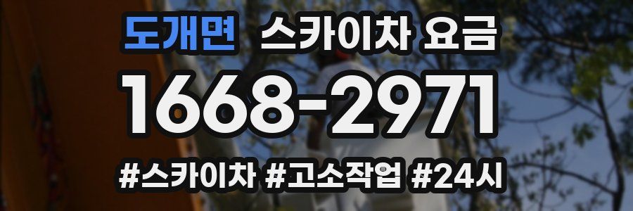 도개면 스카이차 요금