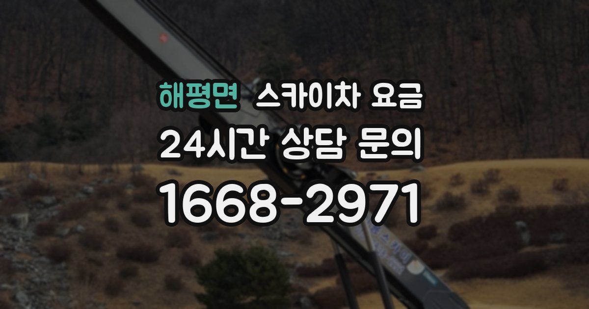 해평면 스카이차 요금