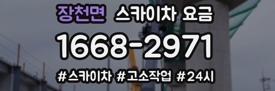 장천면 스카이차 요금