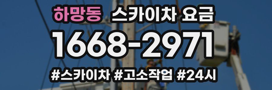 하망동 스카이차 요금