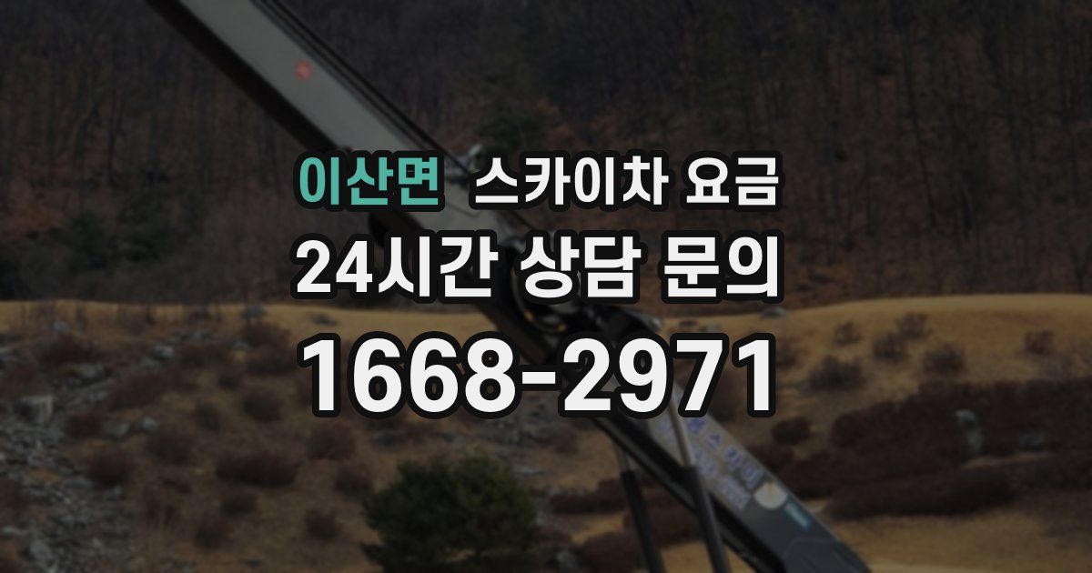 이산면 스카이차 요금