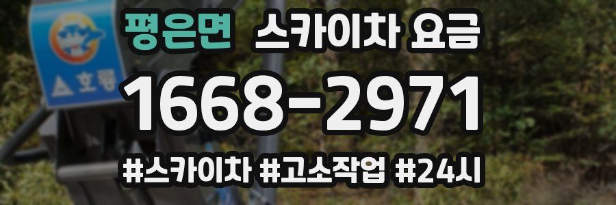 평은면 스카이차 요금