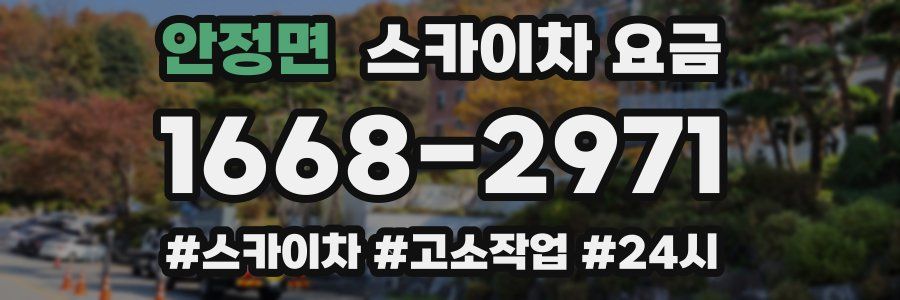 안정면 스카이차 요금