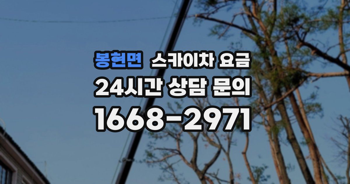 봉현면 스카이차 요금