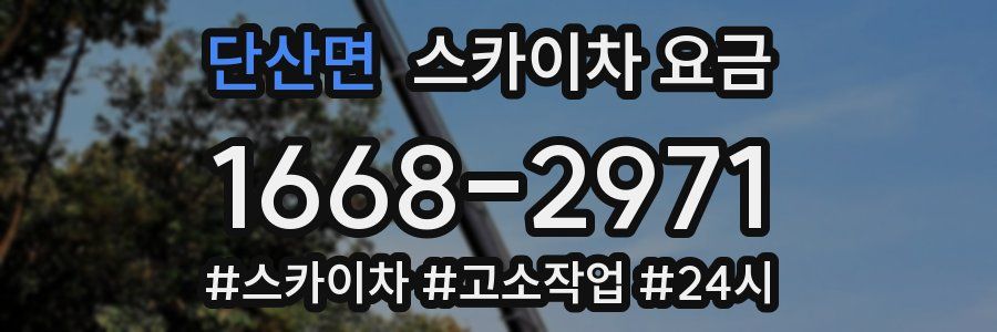 단산면 스카이차 요금