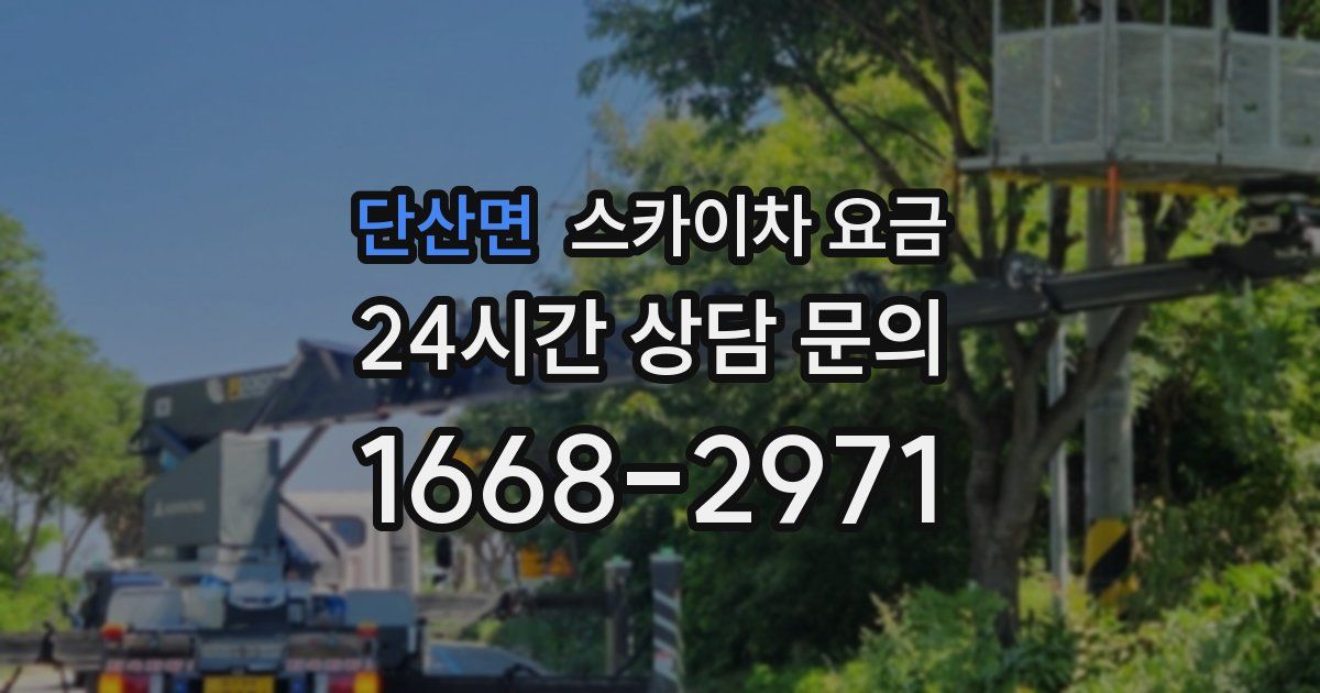 단산면 스카이차 요금