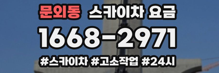 문외동 스카이차 요금