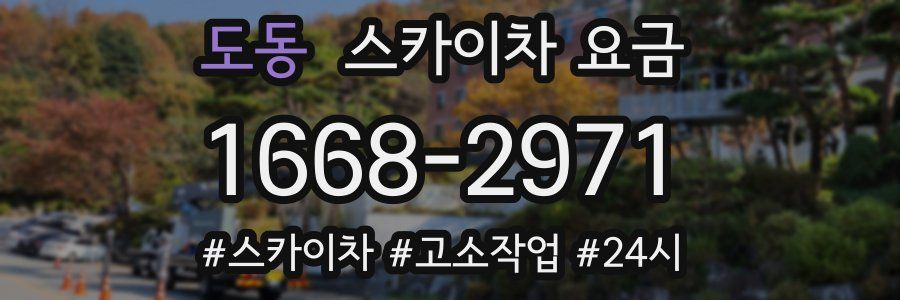 도동 스카이차 요금