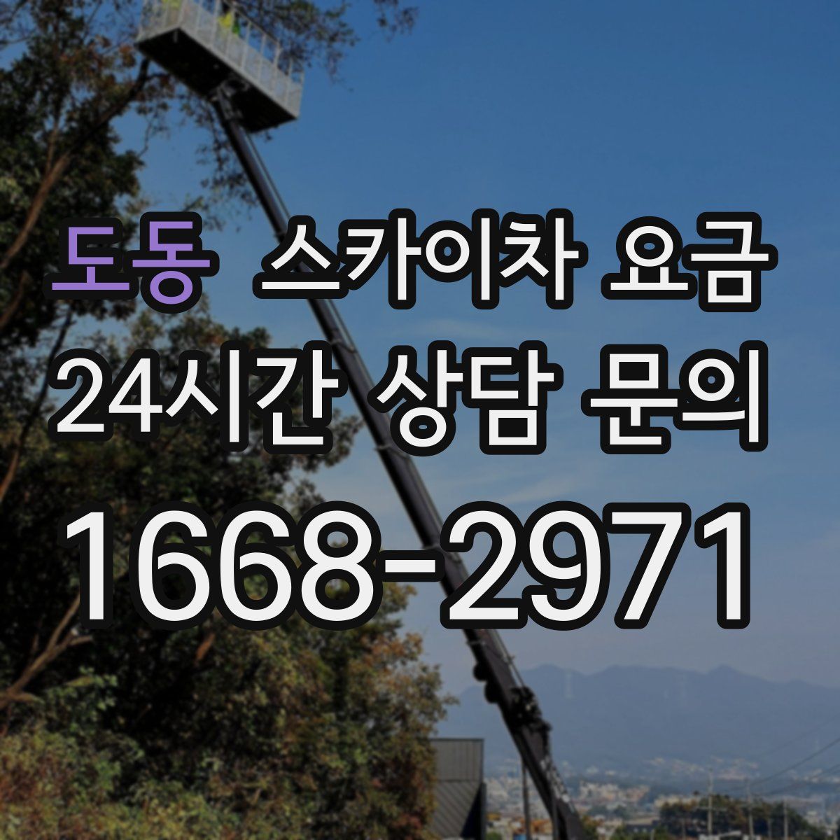 도동 스카이차 요금