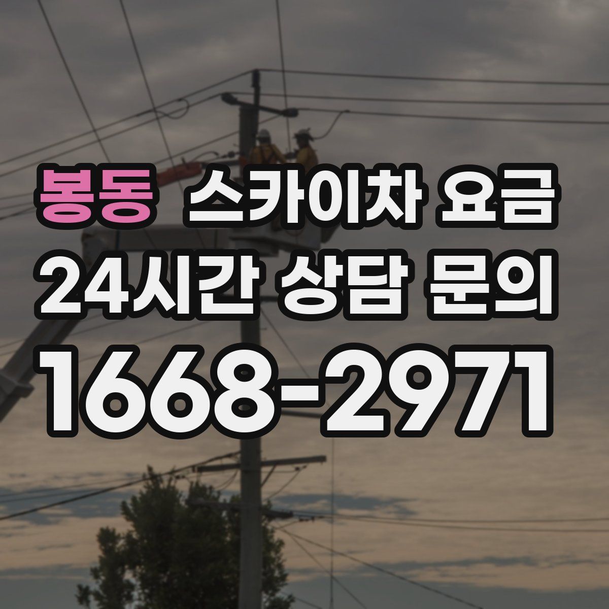 봉동 스카이차 요금