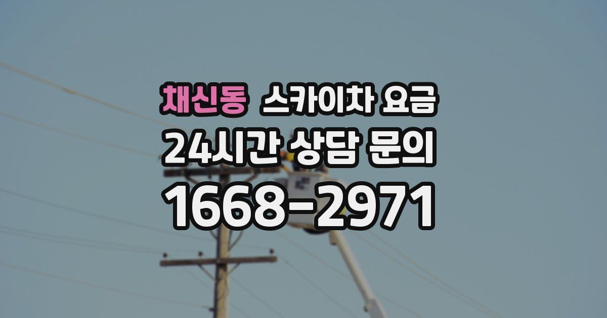 채신동 스카이차 요금