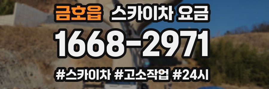 금호읍 스카이차 요금