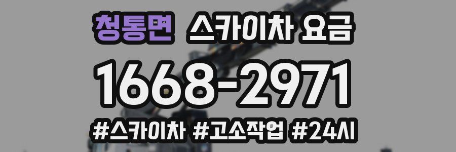 청통면 스카이차 요금