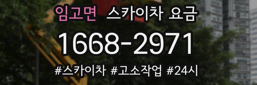 임고면 스카이차 요금