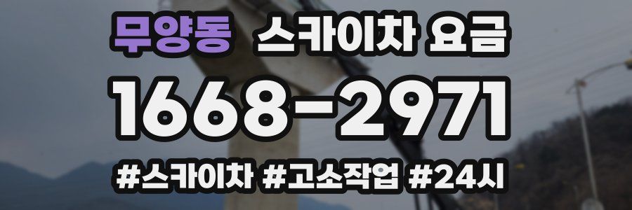 무양동 스카이차 요금