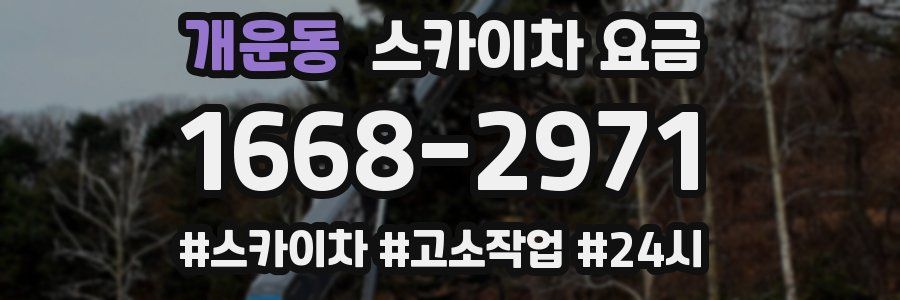 개운동 스카이차 요금