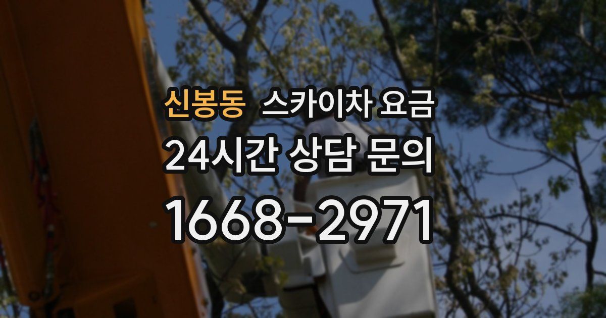 신봉동 스카이차 요금