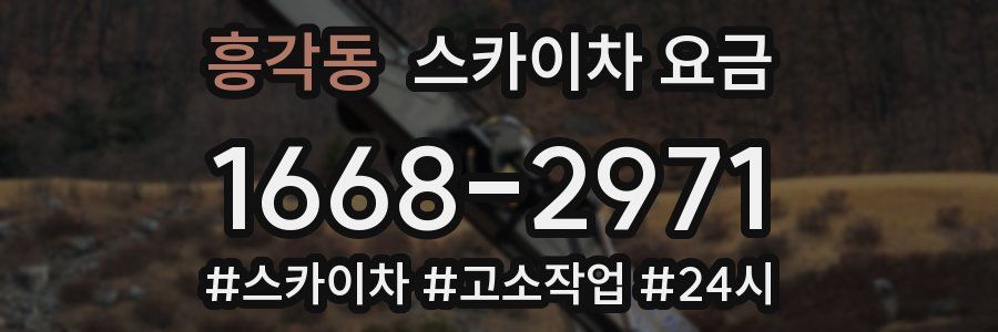 흥각동 스카이차 요금