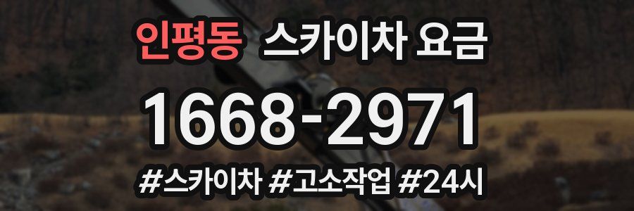 인평동 스카이차 요금