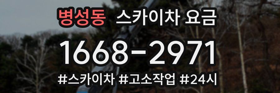 병성동 스카이차 요금