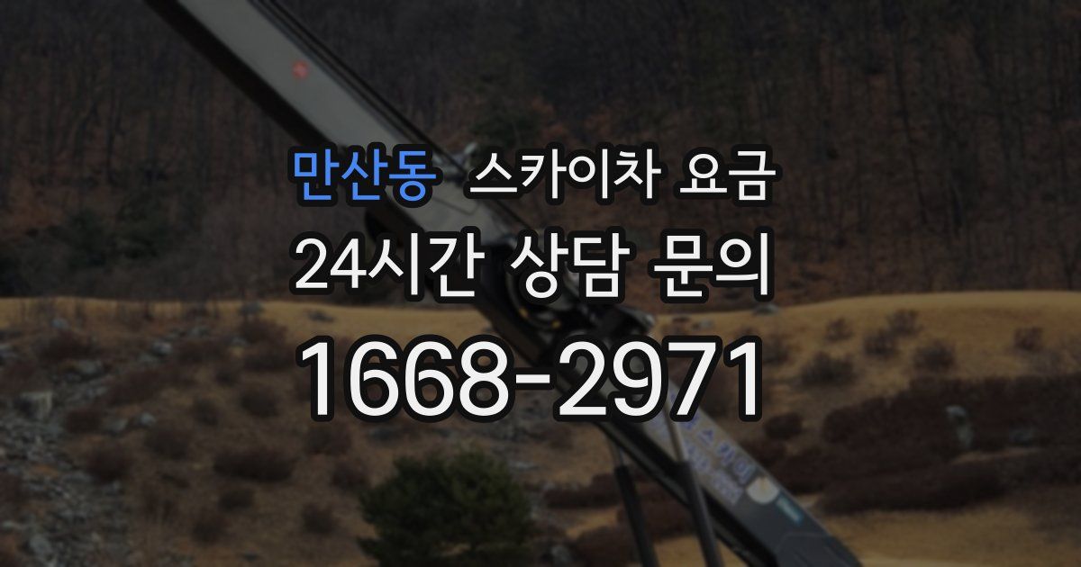 만산동 스카이차 요금