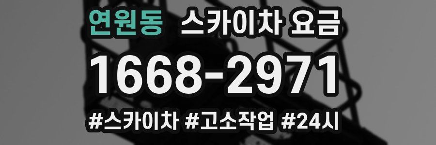 연원동 스카이차 요금