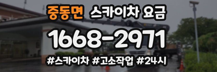 중동면 스카이차 요금