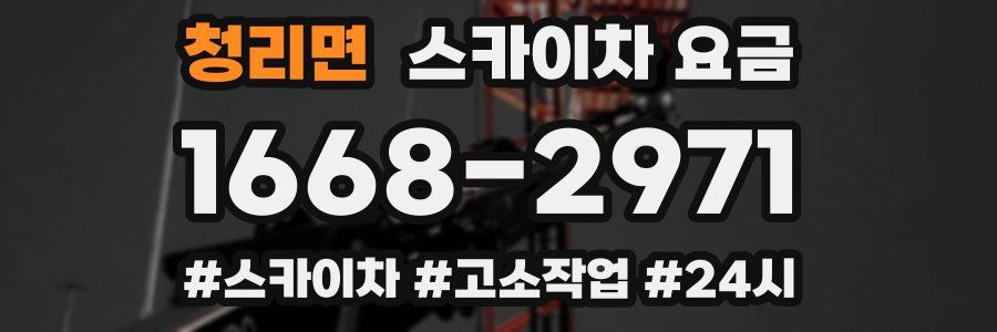 청리면 스카이차 요금