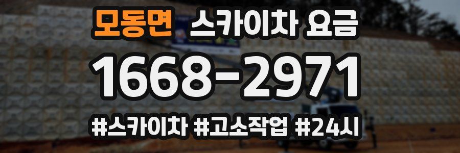 모동면 스카이차 요금