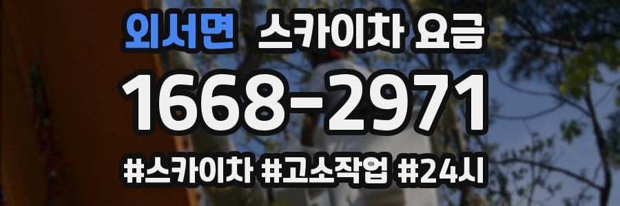 외서면 스카이차 요금