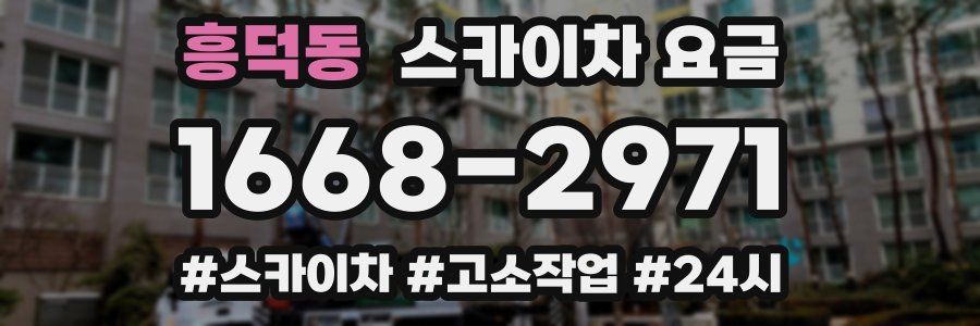 흥덕동 스카이차 요금