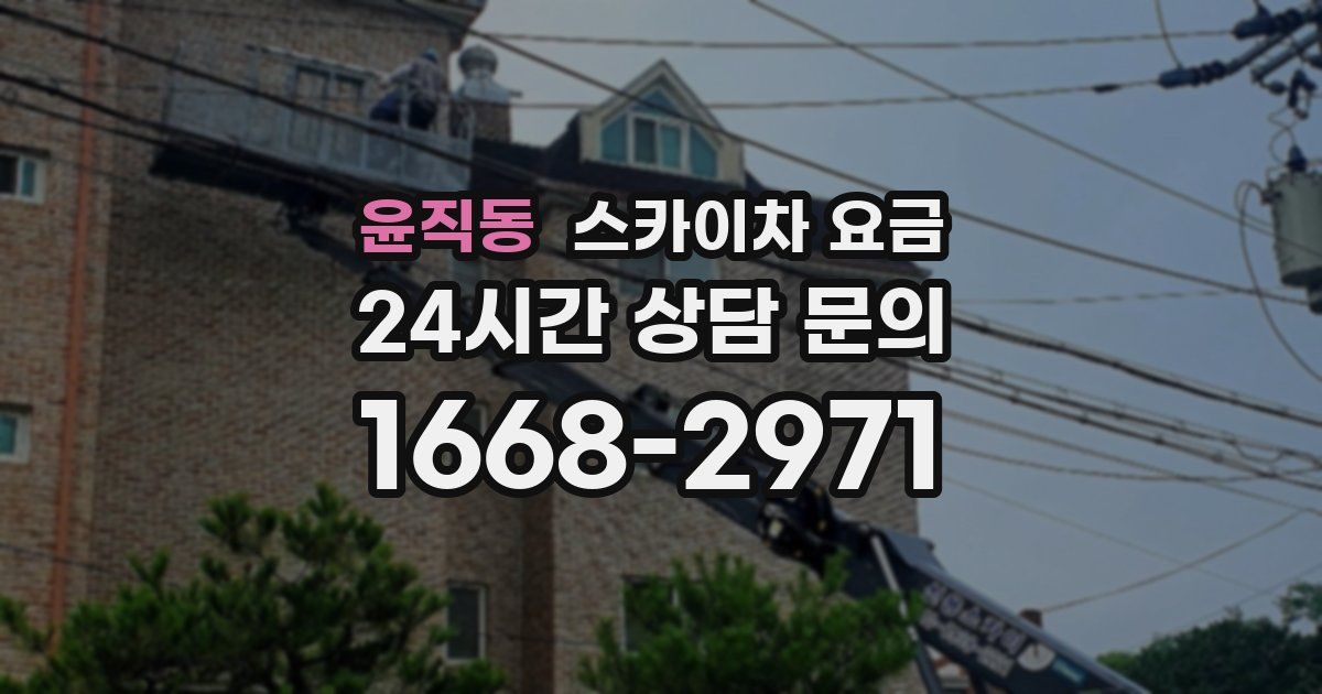 윤직동 스카이차 요금