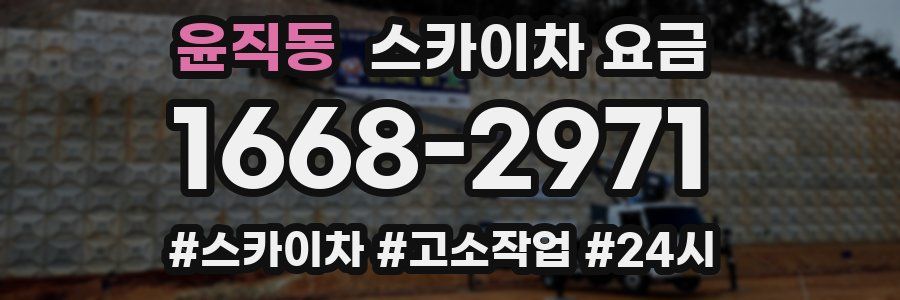 윤직동 스카이차 요금