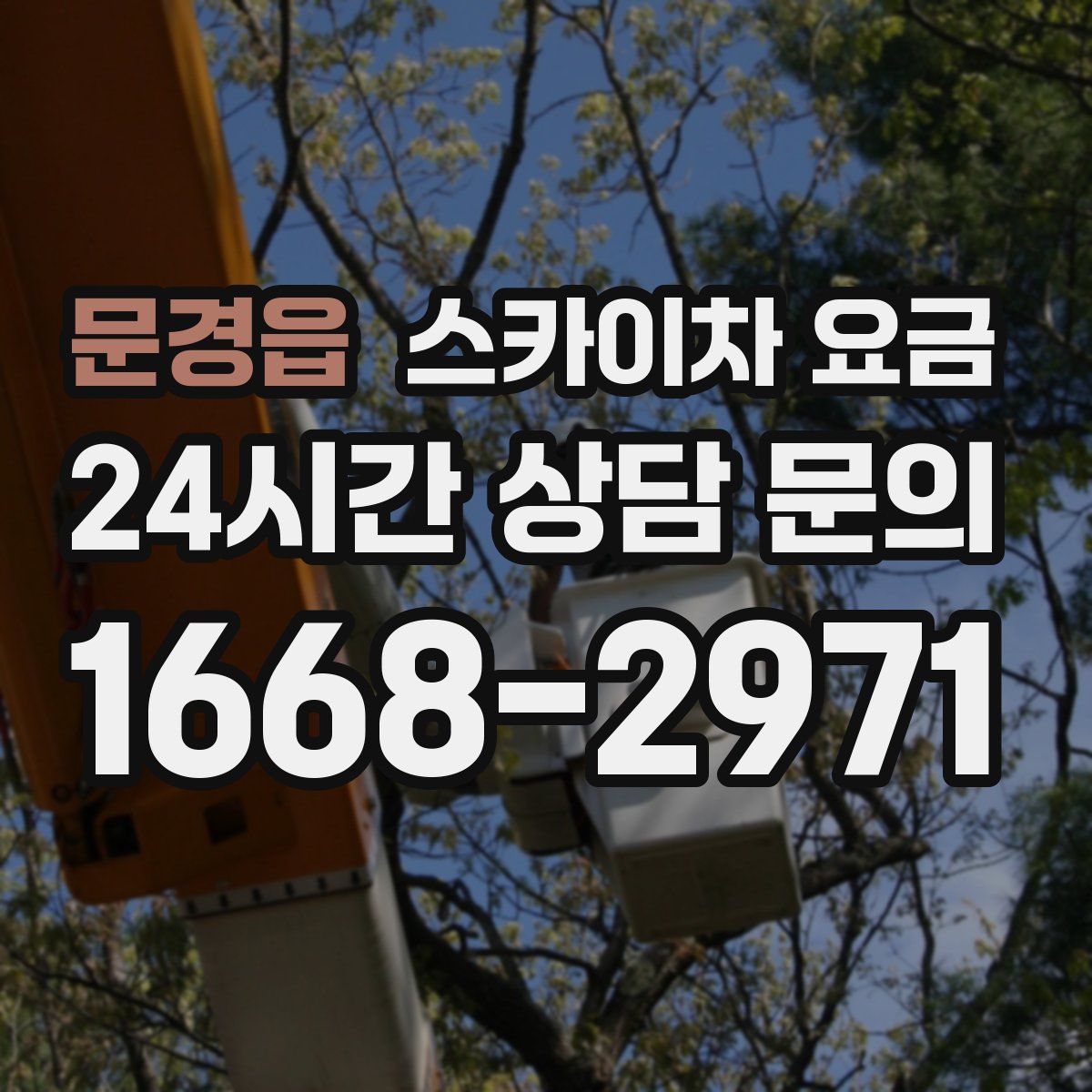 문경읍 스카이차 요금