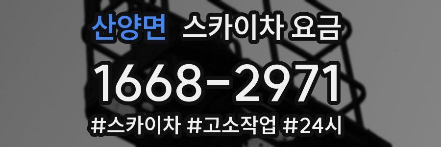 산양면 스카이차 요금