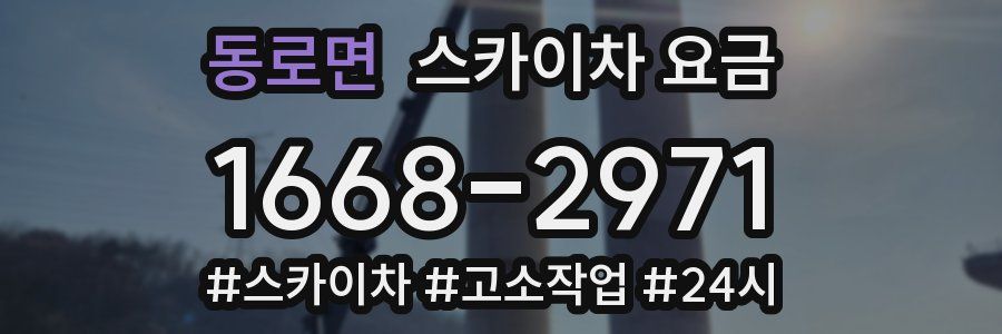 동로면 스카이차 요금