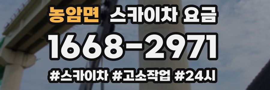 농암면 스카이차 요금