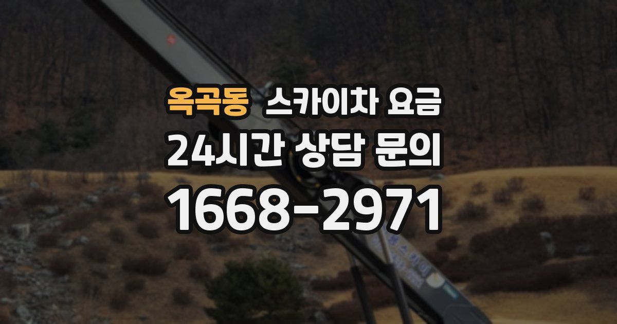 옥곡동 스카이차 요금