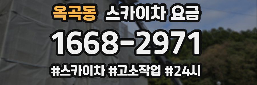 옥곡동 스카이차 요금