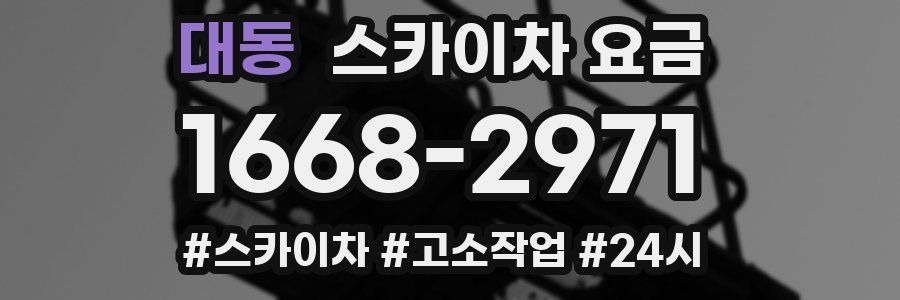 대동 스카이차 요금