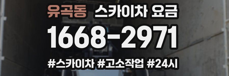 유곡동 스카이차 요금