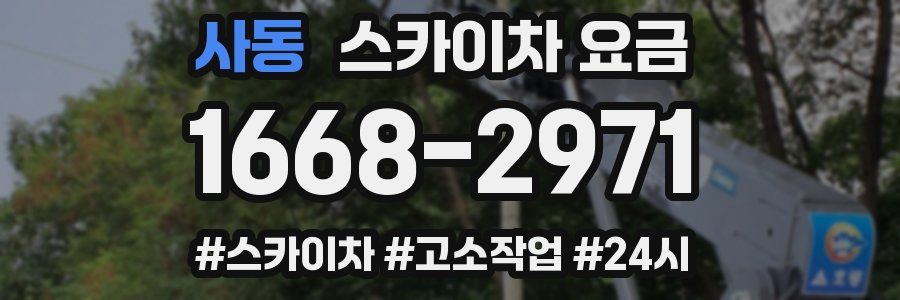 사동 스카이차 요금