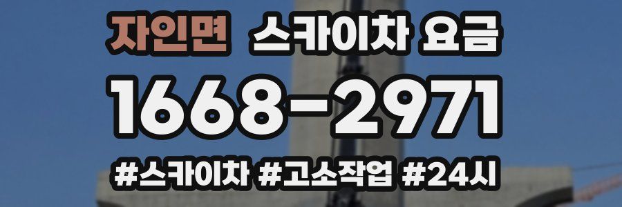 자인면 스카이차 요금