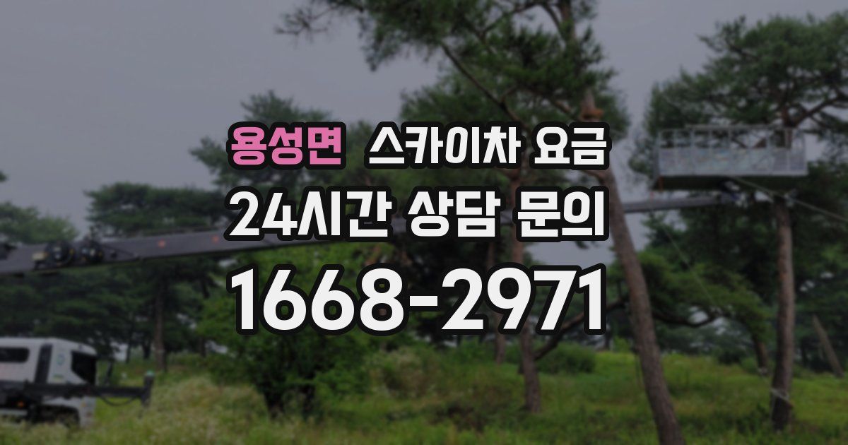 용성면 스카이차 요금