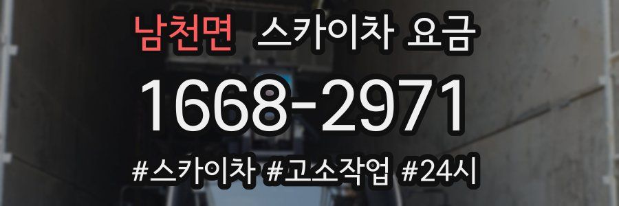 남천면 스카이차 요금