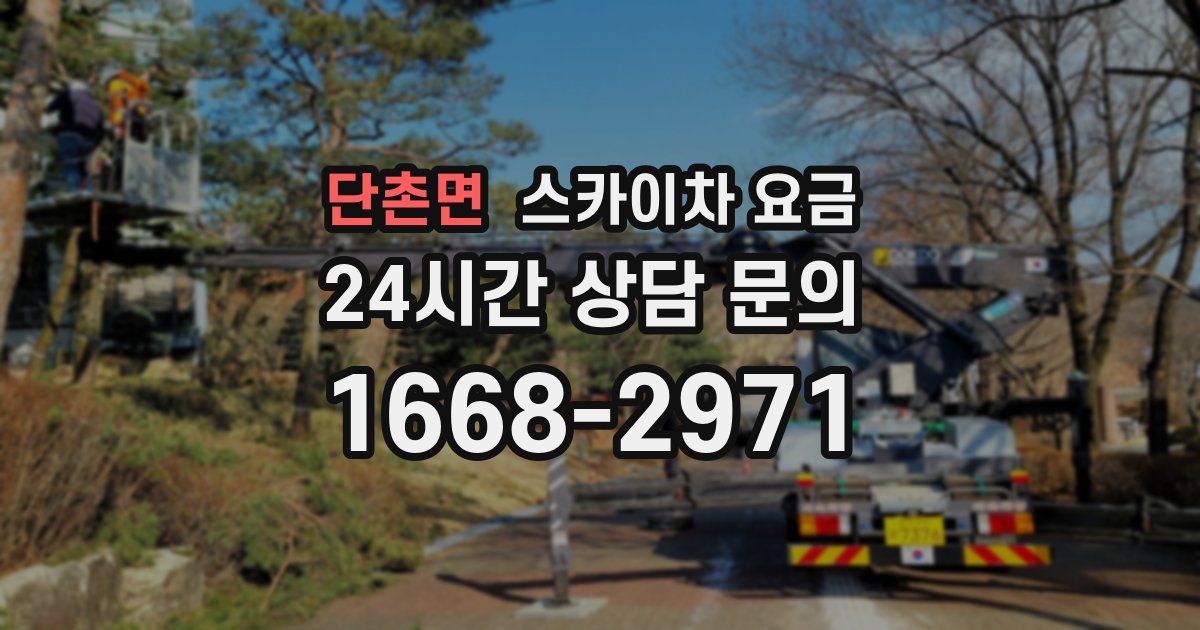 단촌면 스카이차 요금