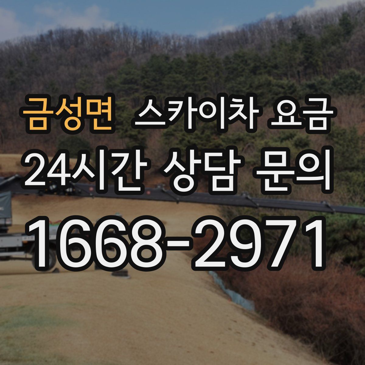 금성면 스카이차 요금