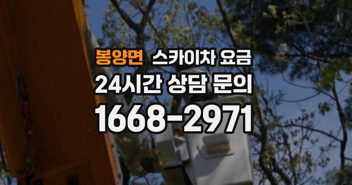 봉양면 스카이차 요금