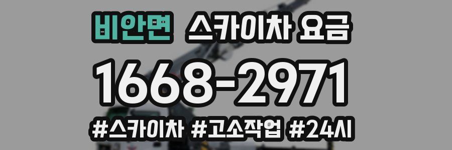 비안면 스카이차 요금